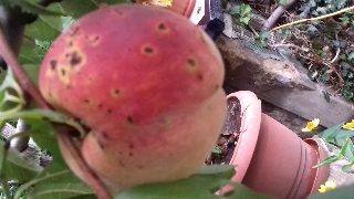 bf931bbcaa41480199d2ad56c898f4cd.jpg
