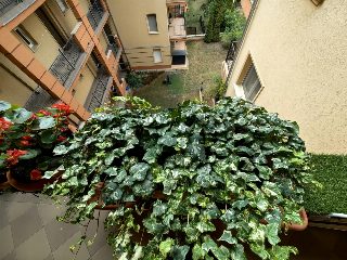 FUsUmmkuWf0d81CC2Pd8i9qCIUCdtxGmvq3sPgL4.jpg