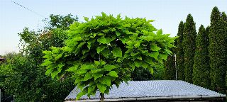 e15023b0b8bf480a953b0e710678ec21.jpg