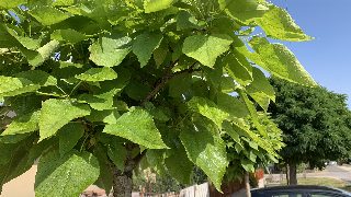 eac723b4f321440cae3ac49a26d615cc.jpeg