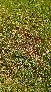 058730e80dea40eb8790cf51ae167dd1.jpg