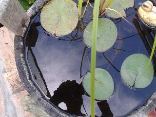 80cf423386ad428a94b3557cbebf47fe.jpg