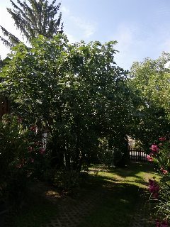 b87150fc7f47414393938040b82be613.jpg