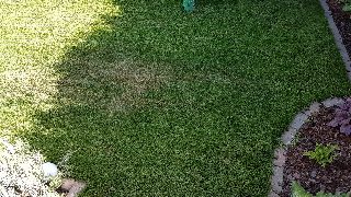 d752689da1534eb1bb863ba2a2c366ad.jpg