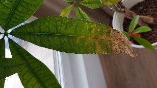 ca14eea291004df4a126effb5d02798e.jpg