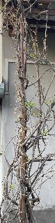 cfbf514d78c846be8f3fc5175a1dd684.jpeg