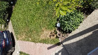 6c1266546c0f4633b290ffcd8d31733e.jpg