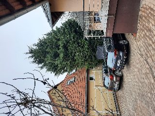 eef640f890ba423db8c062456a818c90.jpg