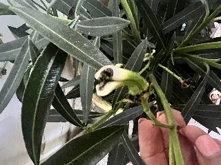 0656376261ea4faa96099a056af48a05.jpeg