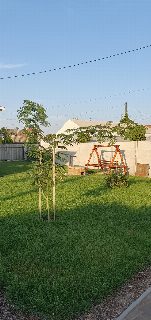 c1dd871f63964c458712ff27bebd08a1.jpg