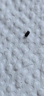 202f6327737a47cfb40825e9c97dc0d5.jpg