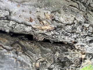 2f1041c2cadc47169157215420df6db0.jpeg