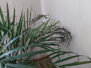 73f8d4144c904254bce36bd973622f15.jpg