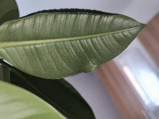 ea872b52f1b0416097ec82b879d45b96.jpg