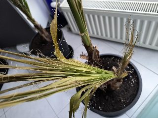 97a120ef05de4365be6e146f248ead5f.jpg