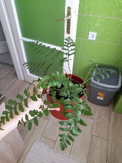 cbd09de250ea4f3da41bed9854b8a645.jpg