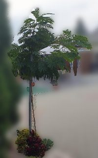 dd3be61cb1e74885b8d6b3c810772a42.jpg