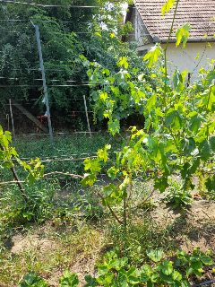 ae63084a22024f148be00d6866d9d3a3.jpg