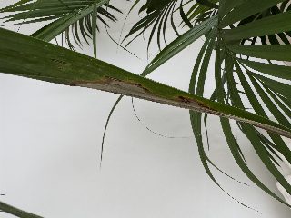 c5cb794d5f364f0183df2dac064eaddb.jpeg