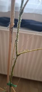 6cc98fe98c4b42338aadf673756843d2.jpg