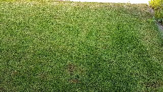 8f6a90f9b39744eca7a7a112e679afeb.jpg