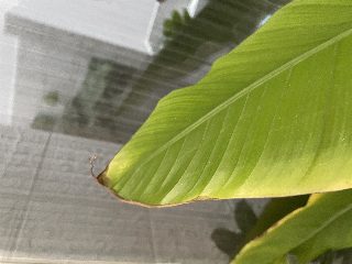 bd8eb6204f9243c7888df6753abb95aa.jpeg