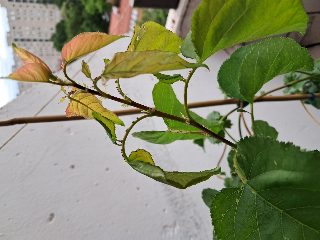 f80136efb35c432bb4213c7d49210aad.jpg