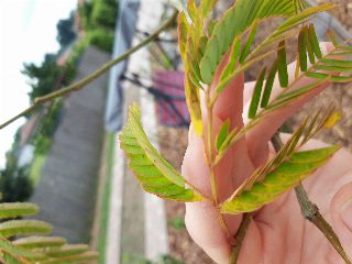 4ecfeb5e23884b048e25119b56b5c011.jpg