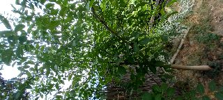 ab9bdc9da5a3489f8a50e869b48f3f67.jpg