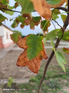 96aaf5f8d7494d9b92579d144a9373b0.jpg