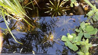 337bcecd4fc840a58772e0936c4cb1d1.jpg