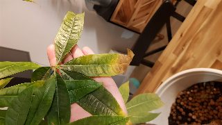 9b65dab6809d46418d946f1f829ca3cb.jpg