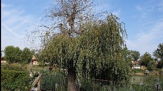 1266a3b935fe43068f866ed1429e1f74.jpg
